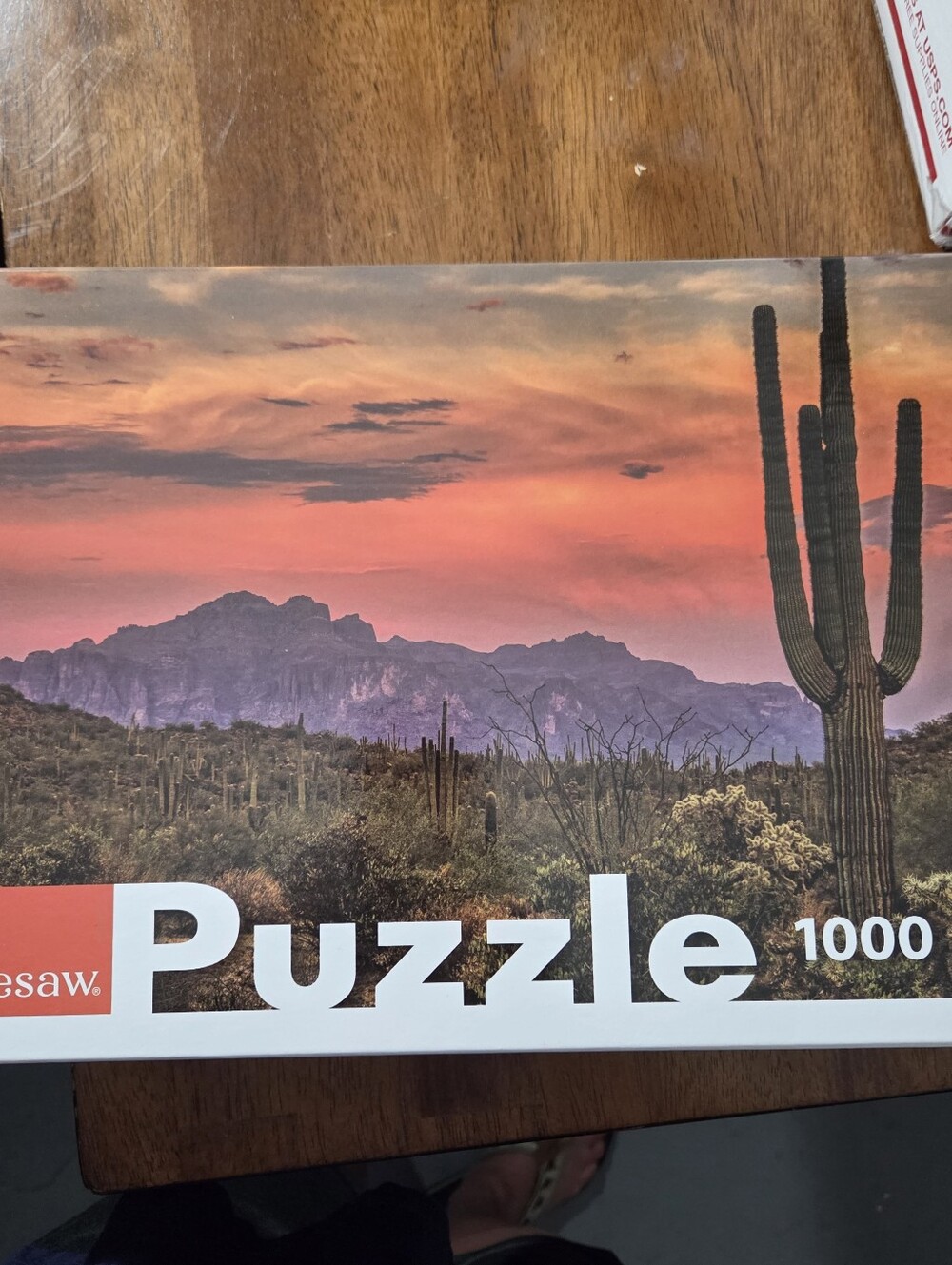 Seesaw 1000 Piece Jigsaw Puzzle